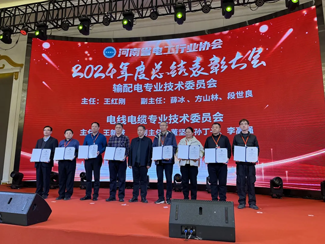 玩球通(中国)一站式服务平台荣获河南省电工行业双优称号, 持续助力电力行业发展